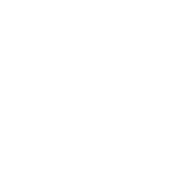 Vertically Integrated