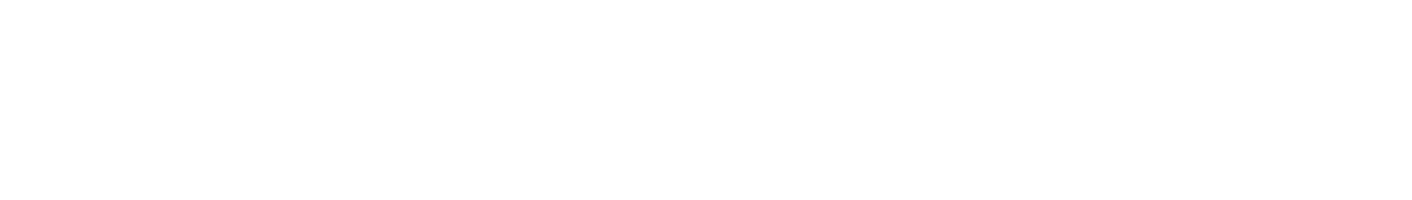 First National Realty Partners